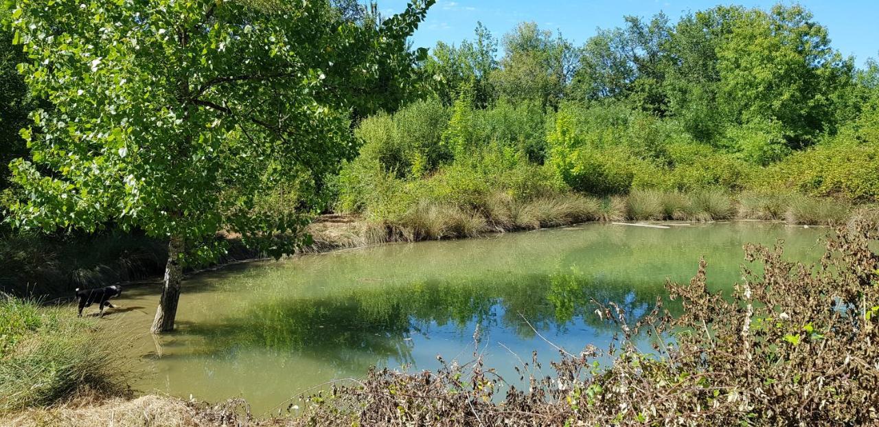 Gite De Campagne L'Estressol Cuq  Exterior foto