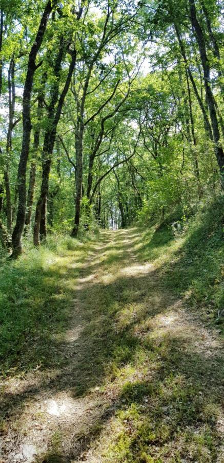 Gite De Campagne L'Estressol Cuq  Exterior foto